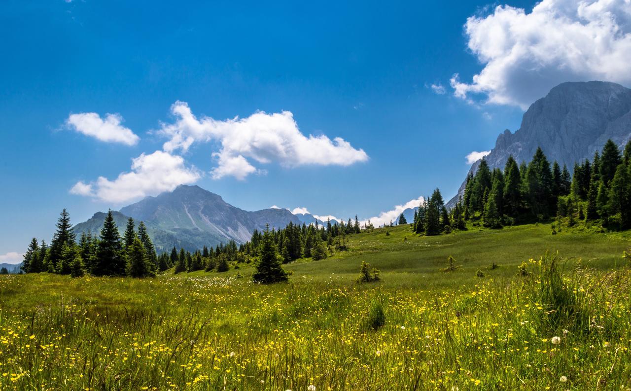 Residence Cavanis Wellness & Spa Sappada Kültér fotó