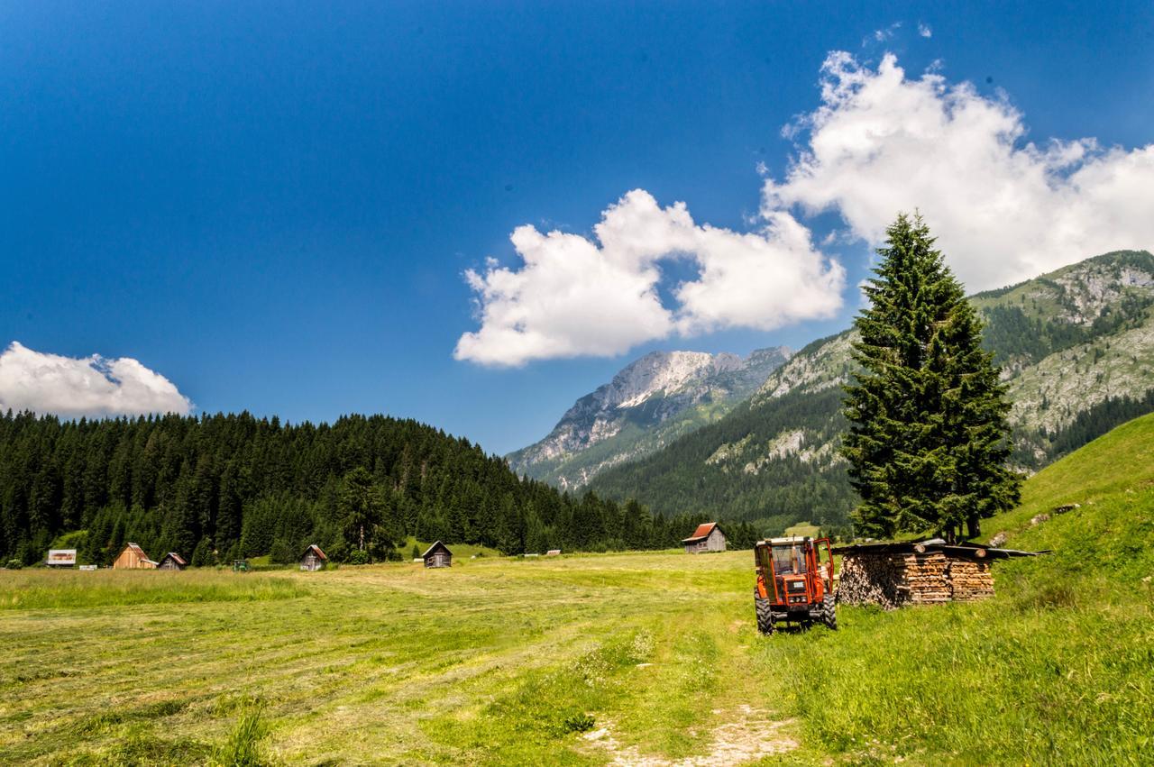 Residence Cavanis Wellness & Spa Sappada Kültér fotó